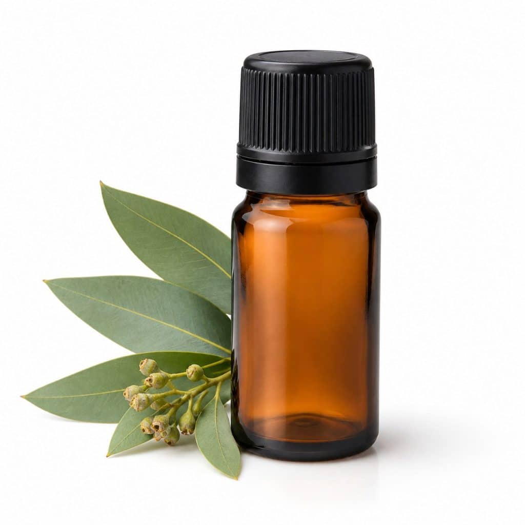 Huile essentielle d'eucalyptus radié bio 10 ml présenté seul