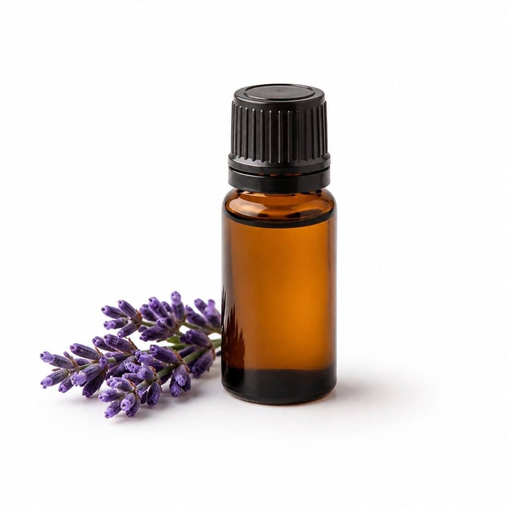 Huile essentielle de lavande vraie bio 10 ml présenté seul