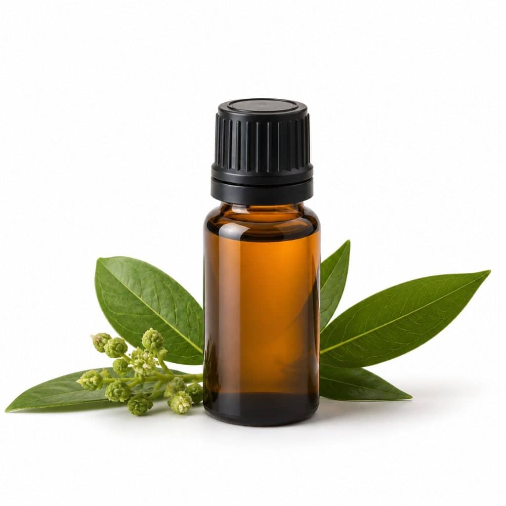 Huile essentielle de ravintsara bio 10 ml présenté seul