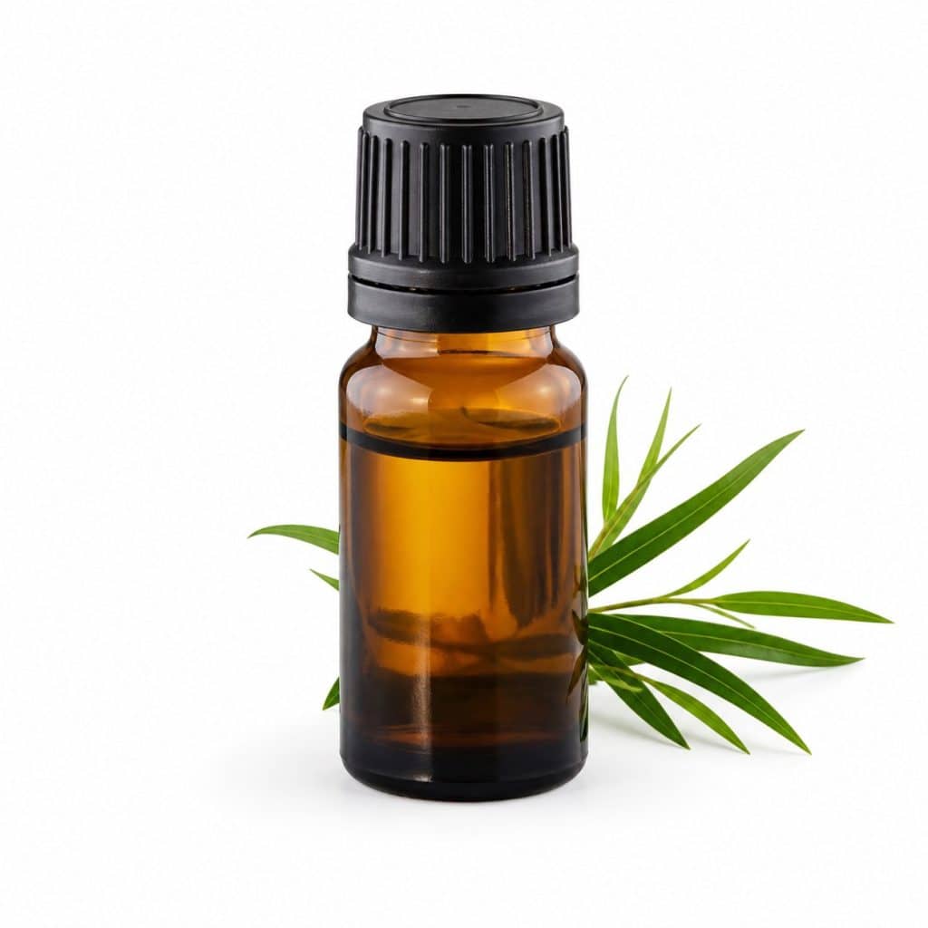 Huile essentielle de tea tree bio 10 ml présenté seul